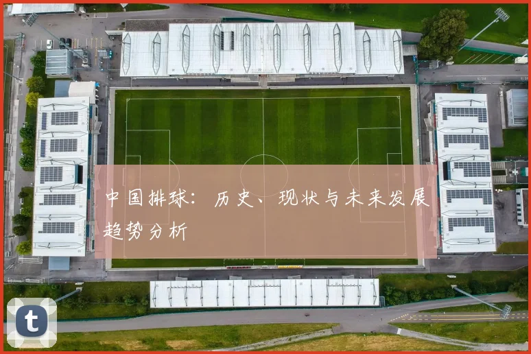 中国排球：历史、现状与未来发展趋势分析