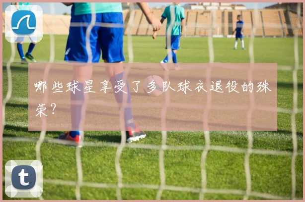 哪些球星享受了多队球衣退役的殊荣？