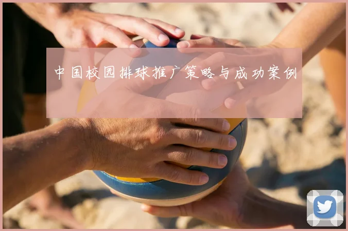 中国校园排球推广策略与成功案例