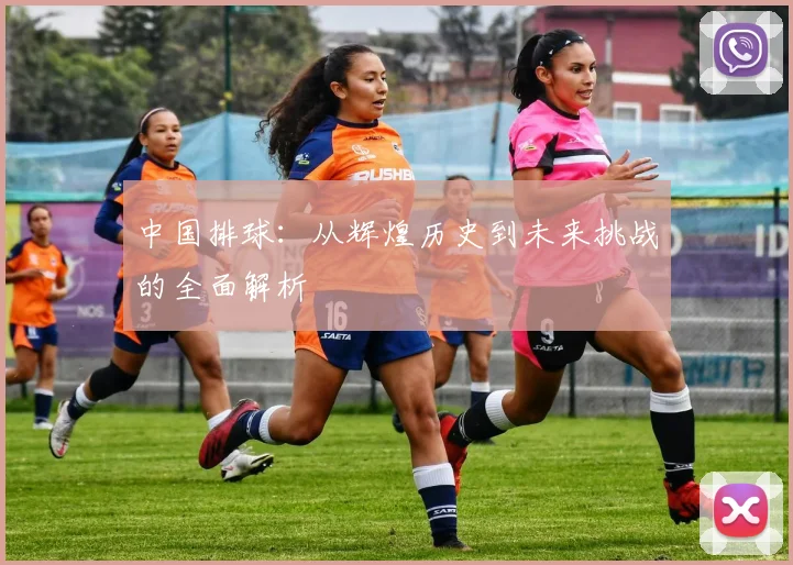 中国排球：从辉煌历史到未来挑战的全面解析