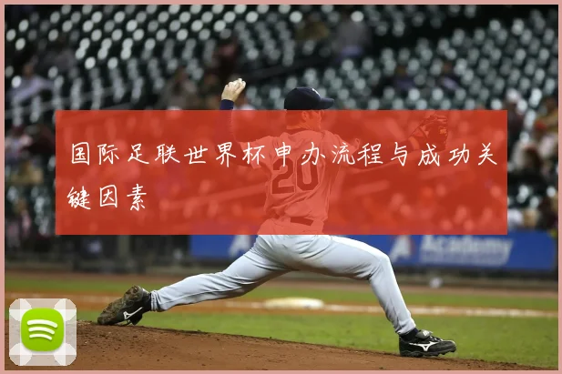 国际足联世界杯申办流程与成功关键因素