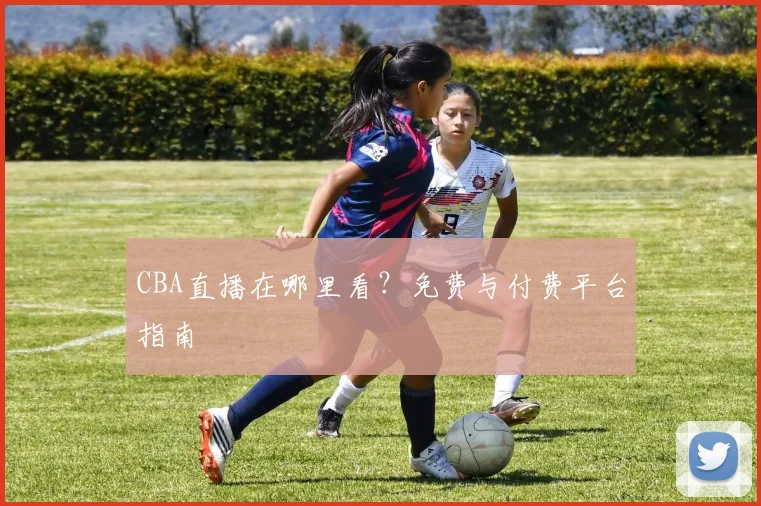 CBA直播在哪里看？免费与付费平台指南