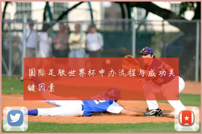 国际足联世界杯申办流程与成功关键因素